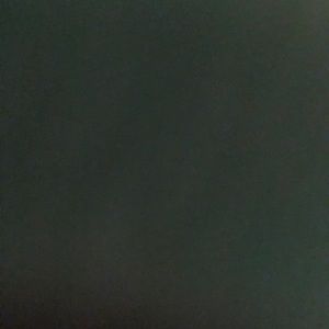 Meet your Posher, Paige